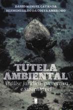 Tutela ambiental: Análise jurídico prote